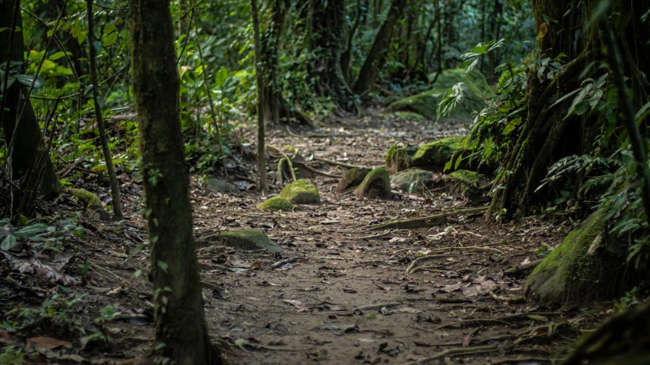 Hotel Rancho Cerro Azul ラ・フォルトゥナ エクステリア 写真