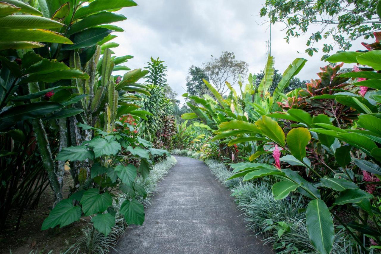 Hotel Rancho Cerro Azul ラ・フォルトゥナ エクステリア 写真