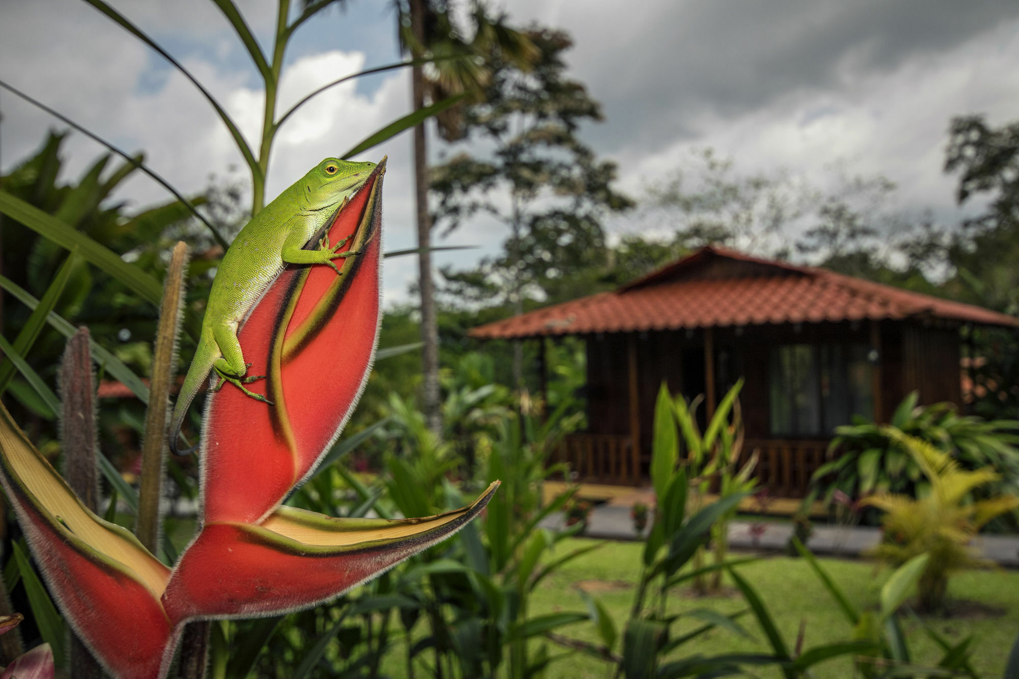 Hotel Rancho Cerro Azul ラ・フォルトゥナ エクステリア 写真